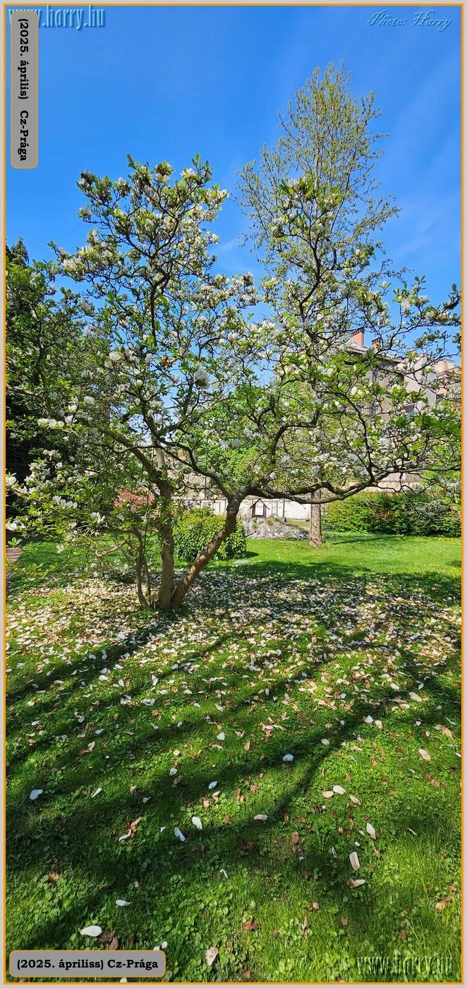 2025.04.-Cz-Praga-214.jpg