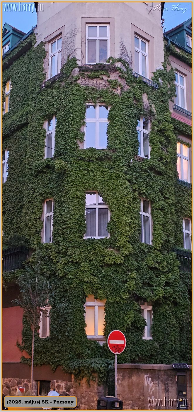 2025.05.-Sk-Pozsony-132.jpg