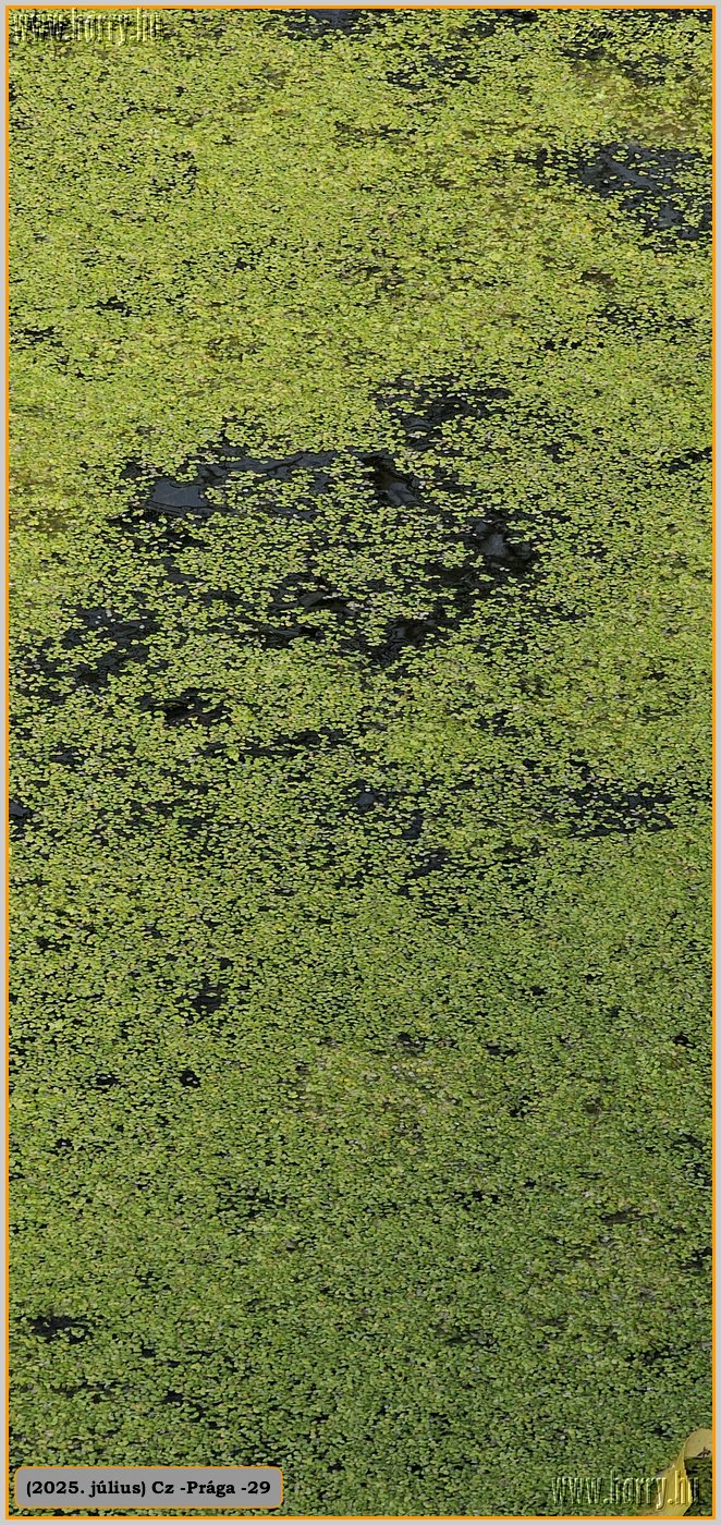 2025.07.-Cz-Praga-29-199.jpg