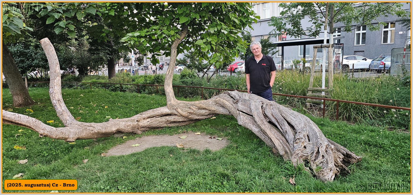 2025.08.-Cz-Brno-053.jpg