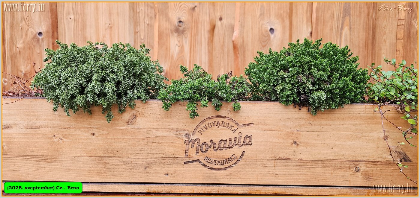 2025.09.-Cz-Brno-064.jpg