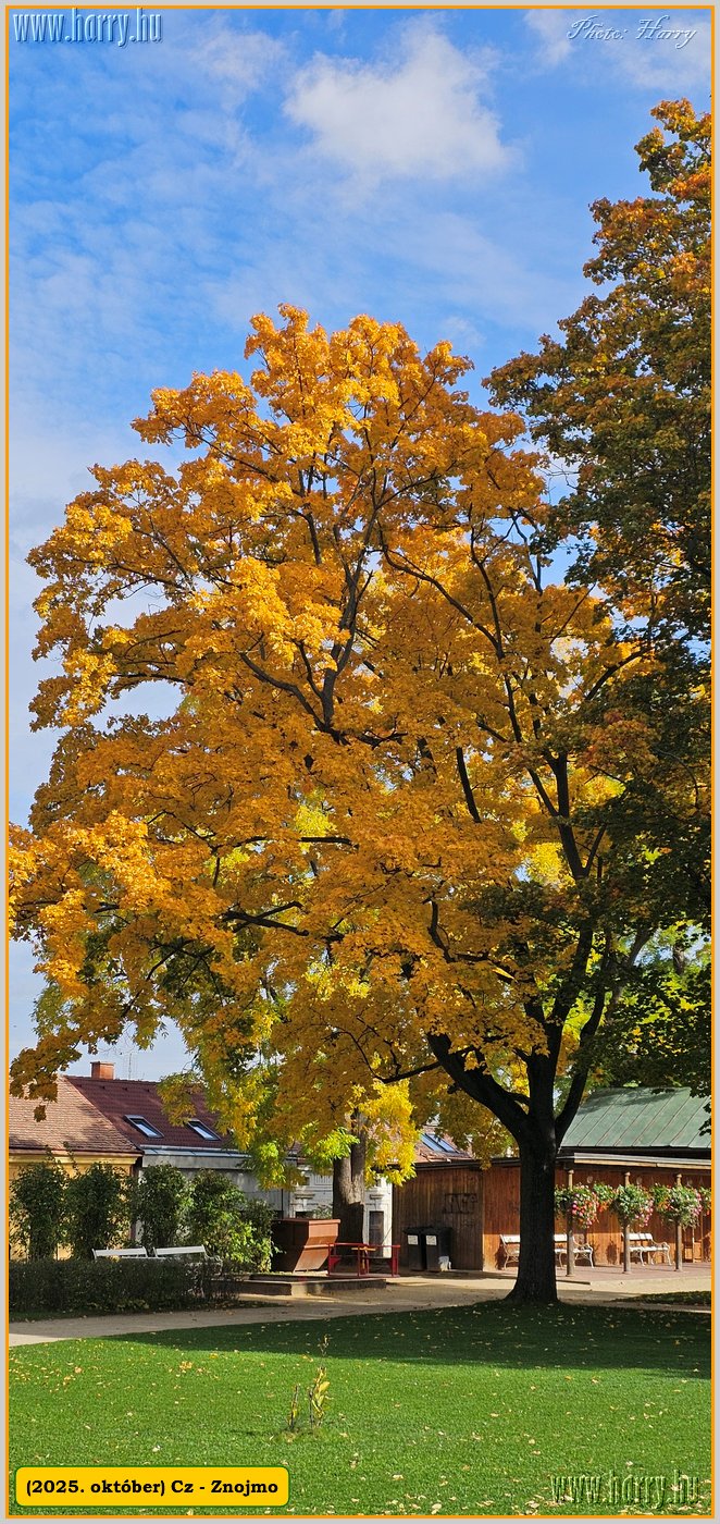2025.10.-Cz-Znojmo-017.jpg