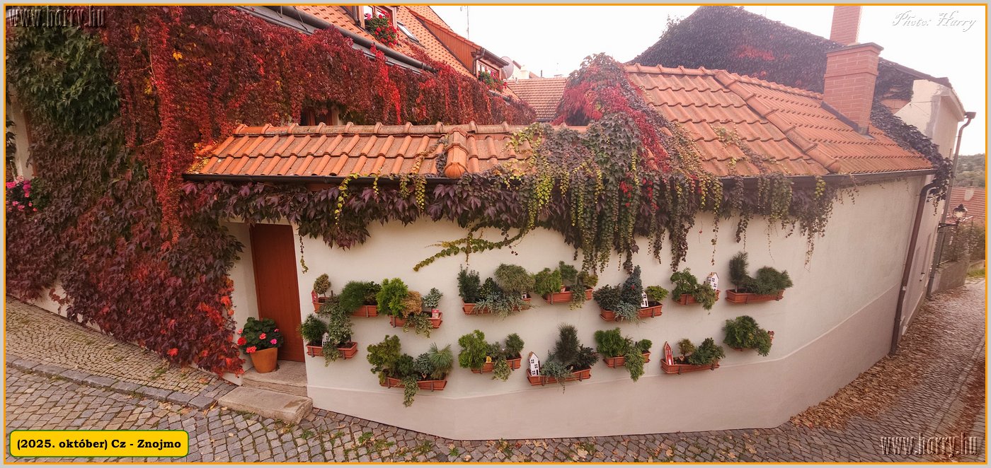 2025.10.-Cz-Znojmo-030.jpg