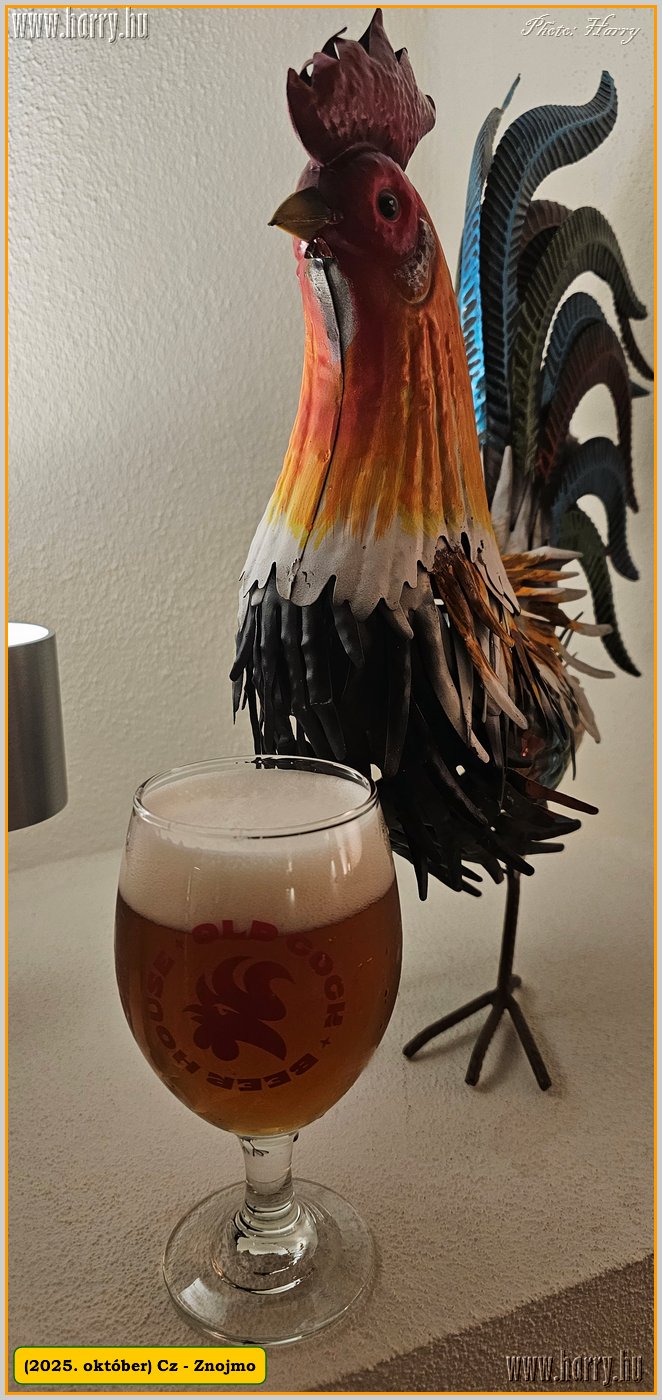 2025.10.-Cz-Znojmo-059.jpg