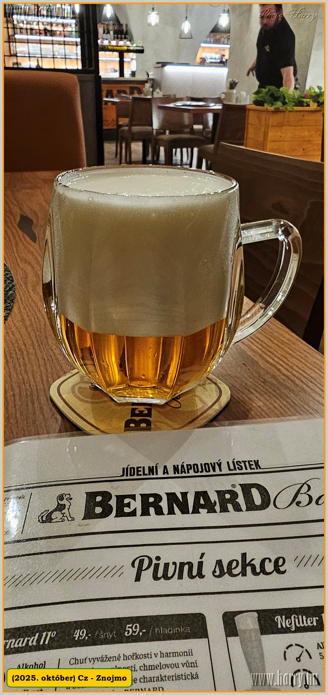 2025.10.-Cz-Znojmo-194.jpg