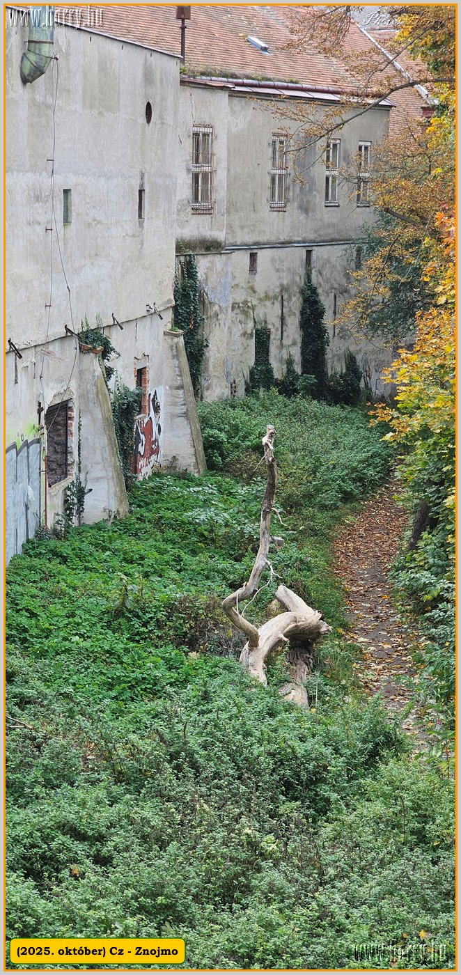 2025.10.-Cz-Znojmo-203.jpg