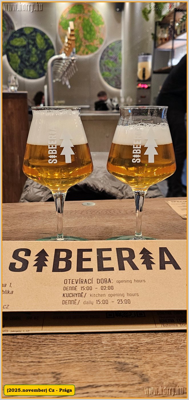 2025.11.-Cz-Praga-135.jpg